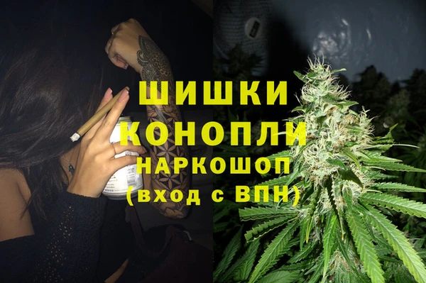 бошки Алексин