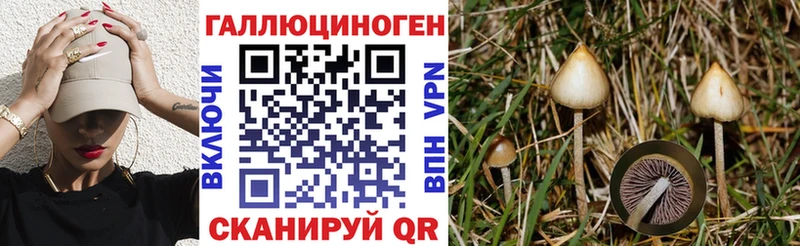 Галлюциногенные грибы мицелий  mega вход  Белокуриха  хочу наркоту 